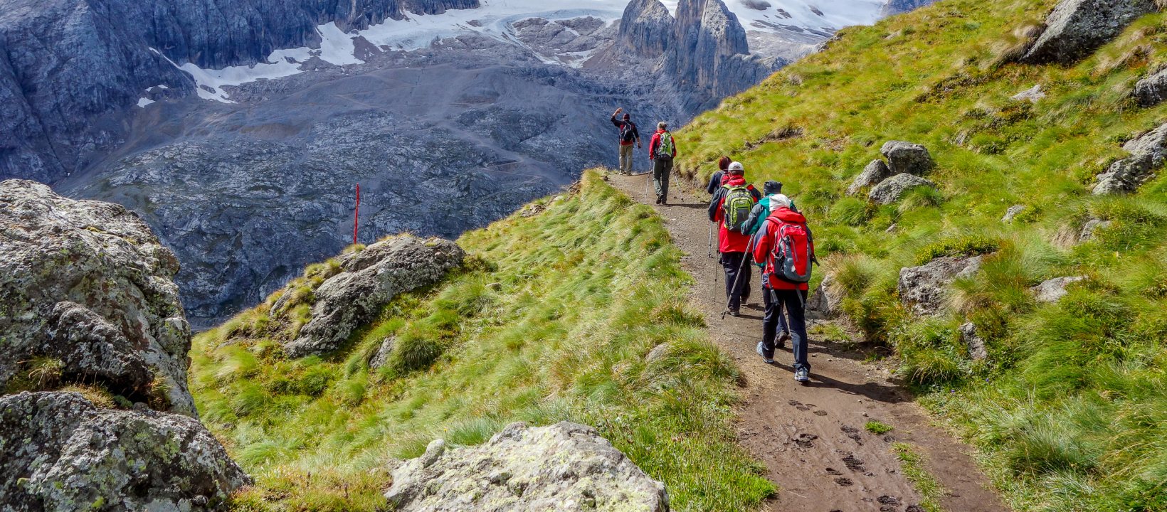Wandelstokken Dolomieten