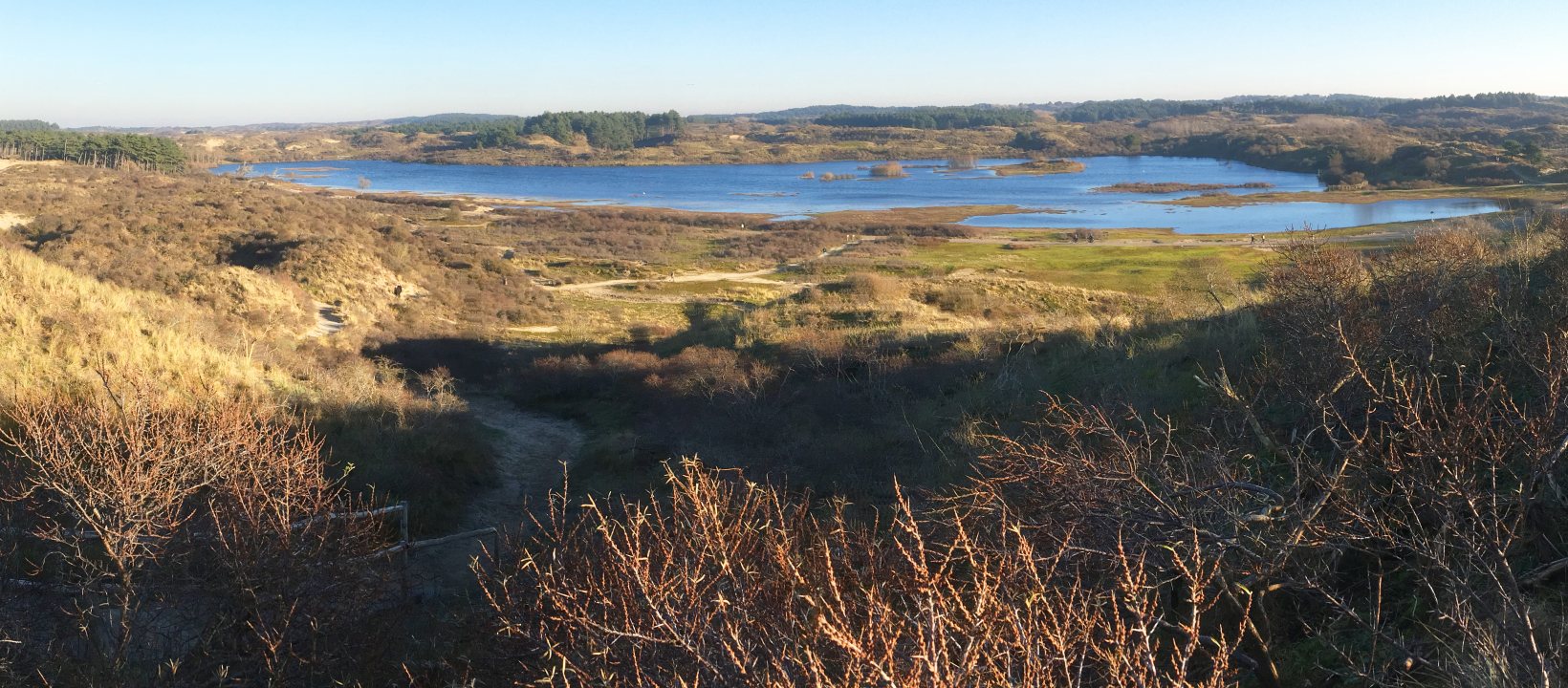 Duinmeer Bloemendaal