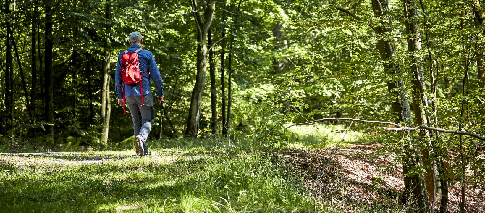 Wandelnetwerk de Merode in de Kampen
