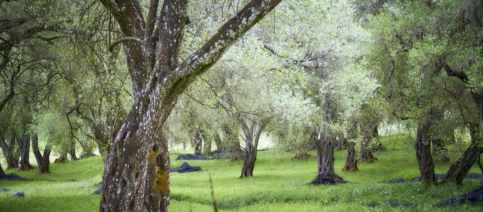 Wandelvakantie Corfu