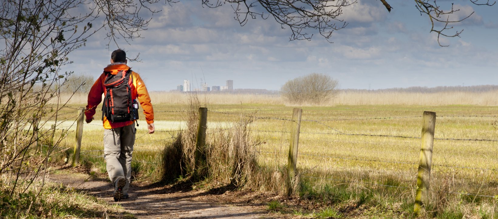 HeuvelrugHike wandelroute Utrechtse Heuvelrug