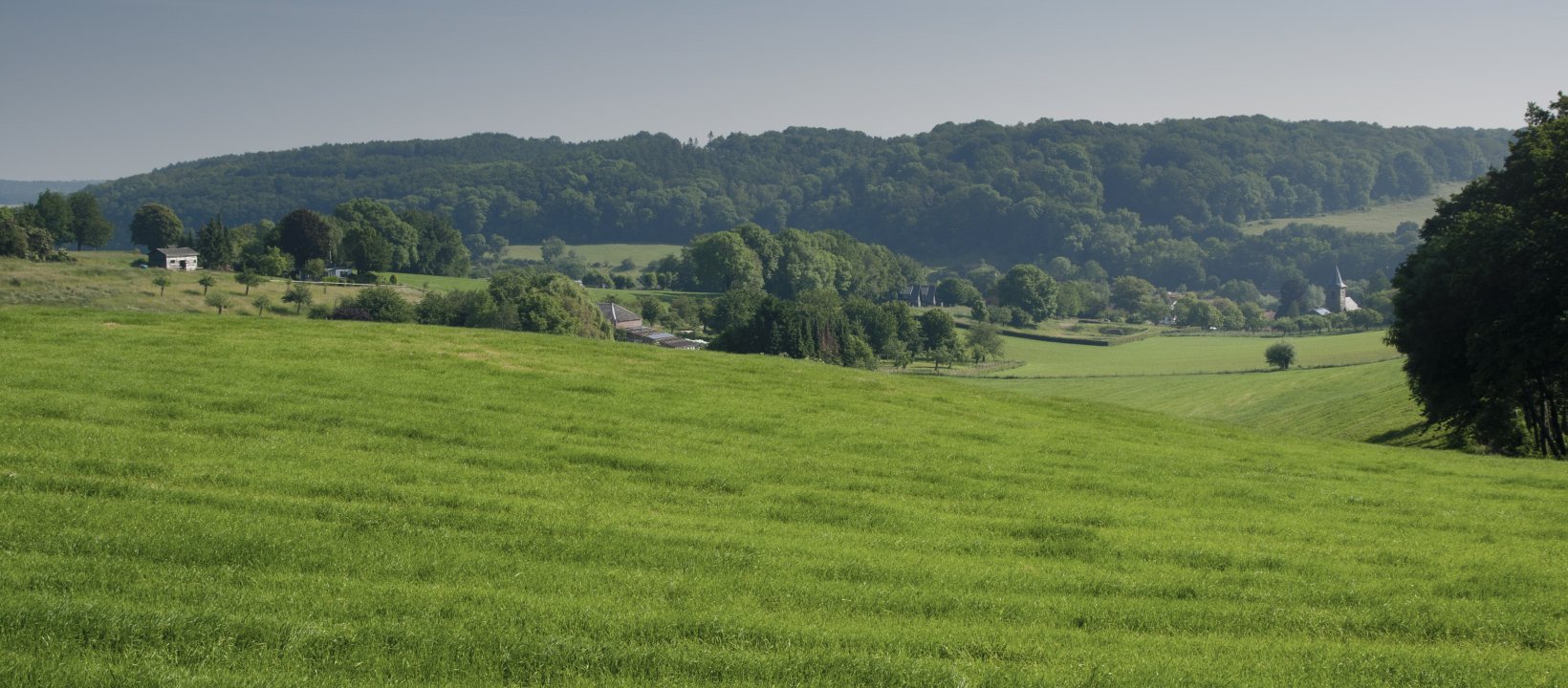 Dutch Mountain Trail wandelroute