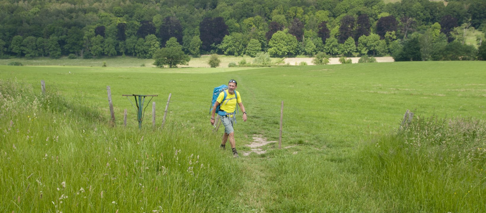 Dutch Mountain Trail wandelroute
