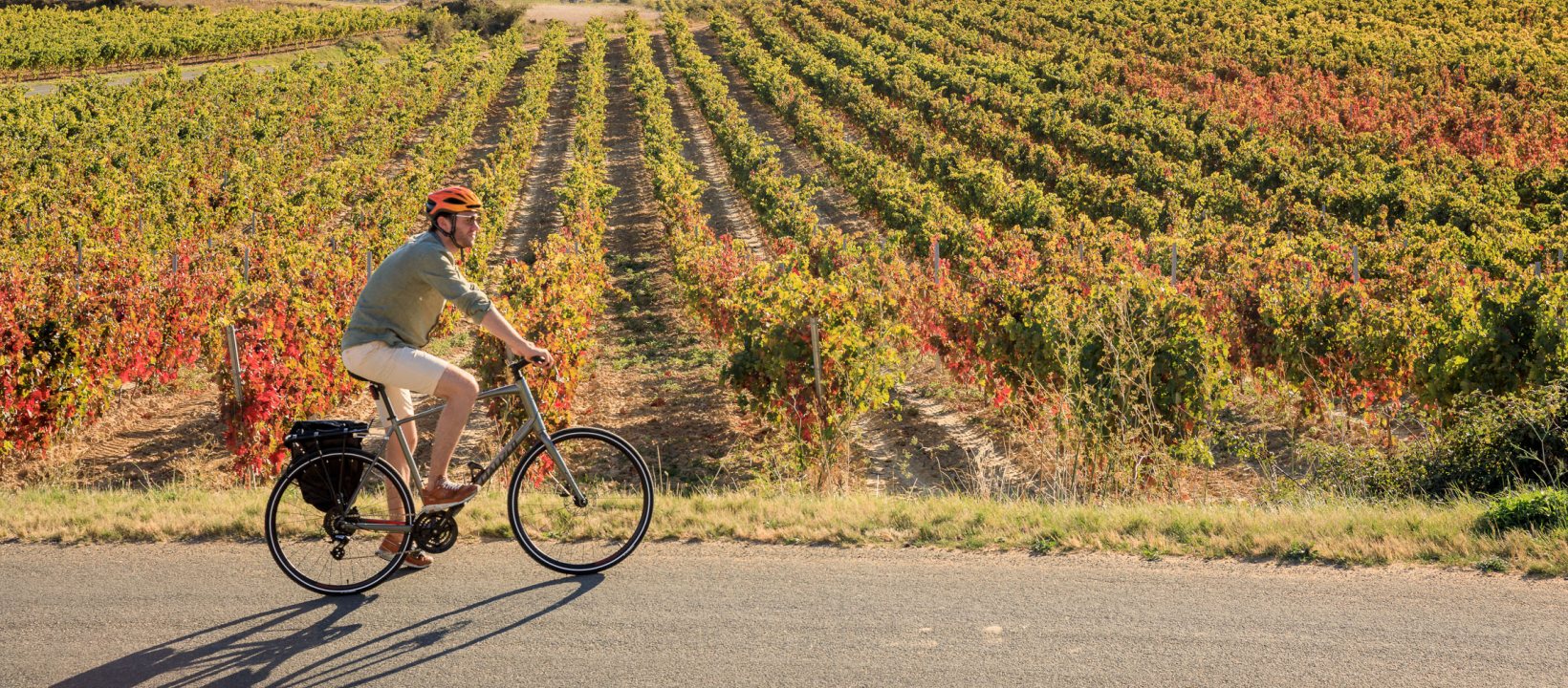 Fietsen in de Rioja Spanje