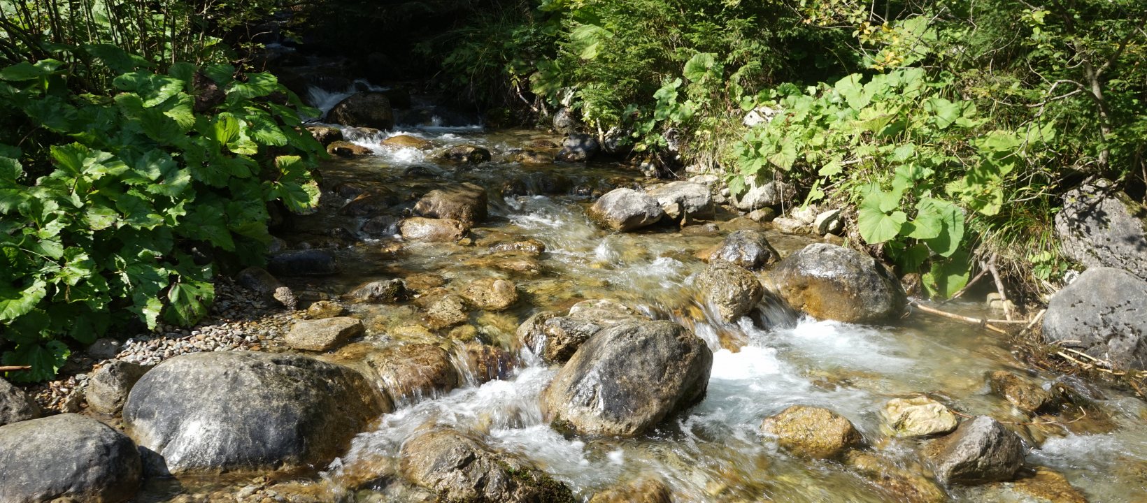 Wandelen Hoge Tatra Polen