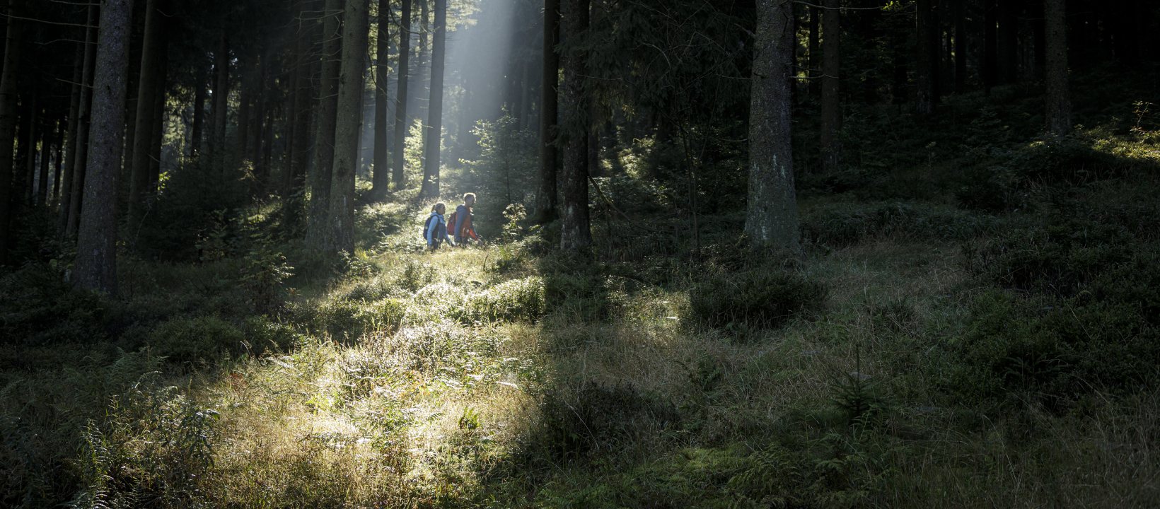 Duitsland Thuringen Rennsteig wandelen