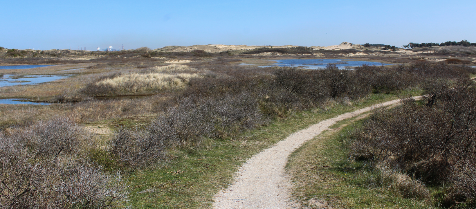 Zuid-Kennemerland