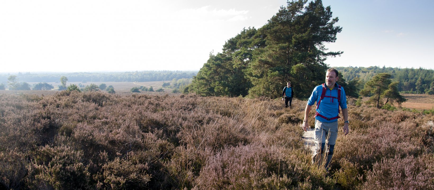 Wandelroute Sallandse Toppentocht