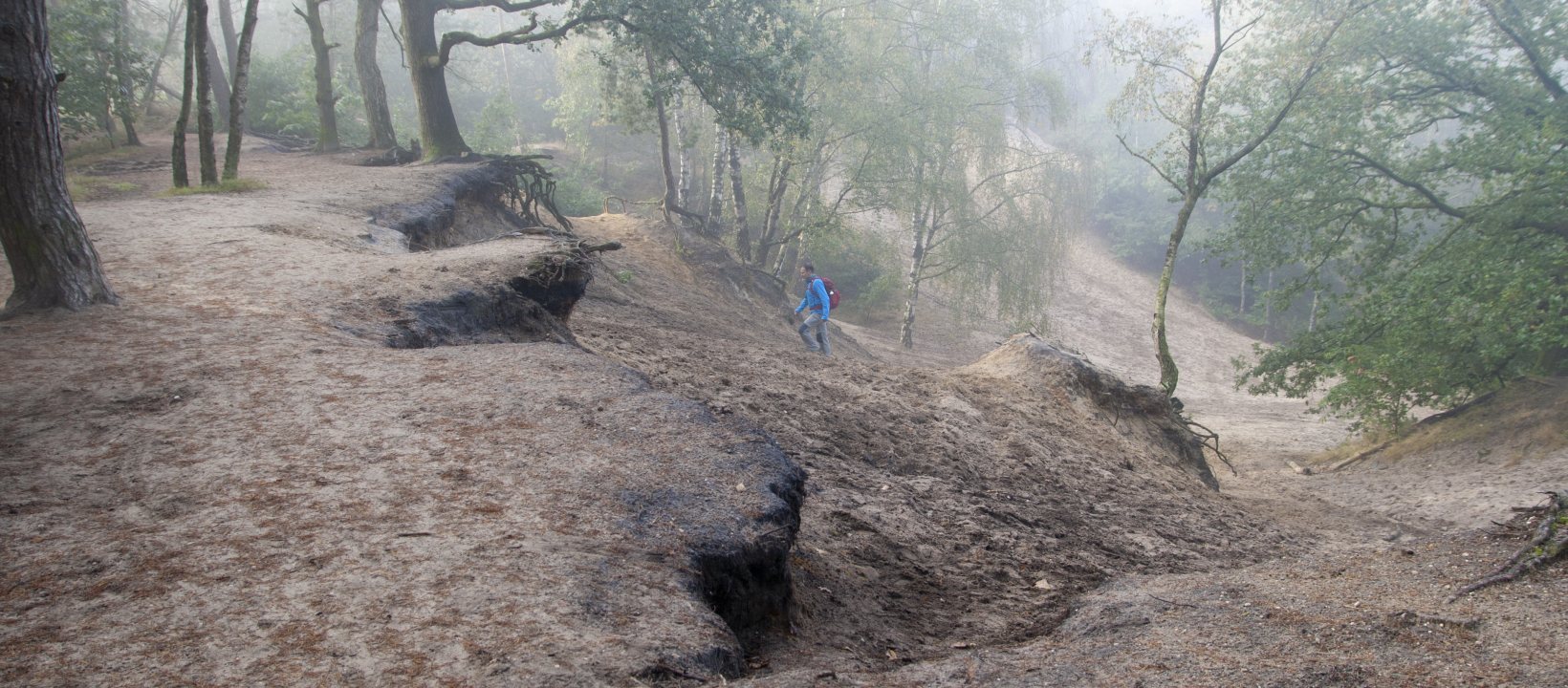 Wandelroute Sallandse Toppentocht