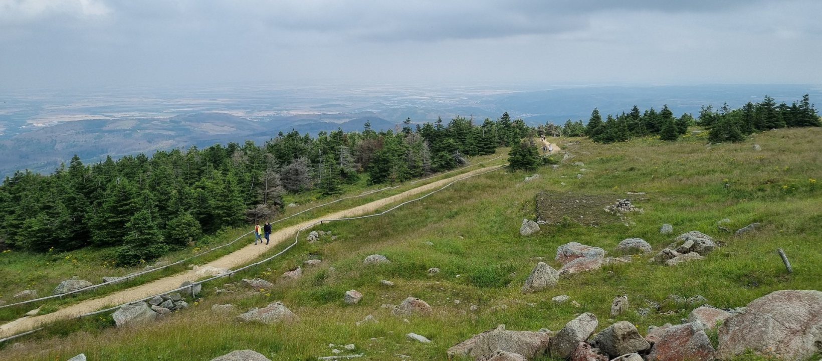 Harz wandelen