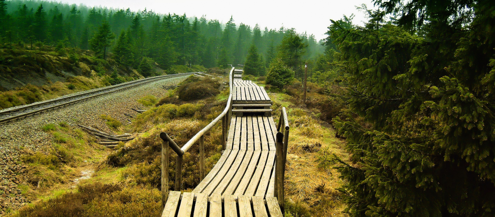 Harz wandelpad
