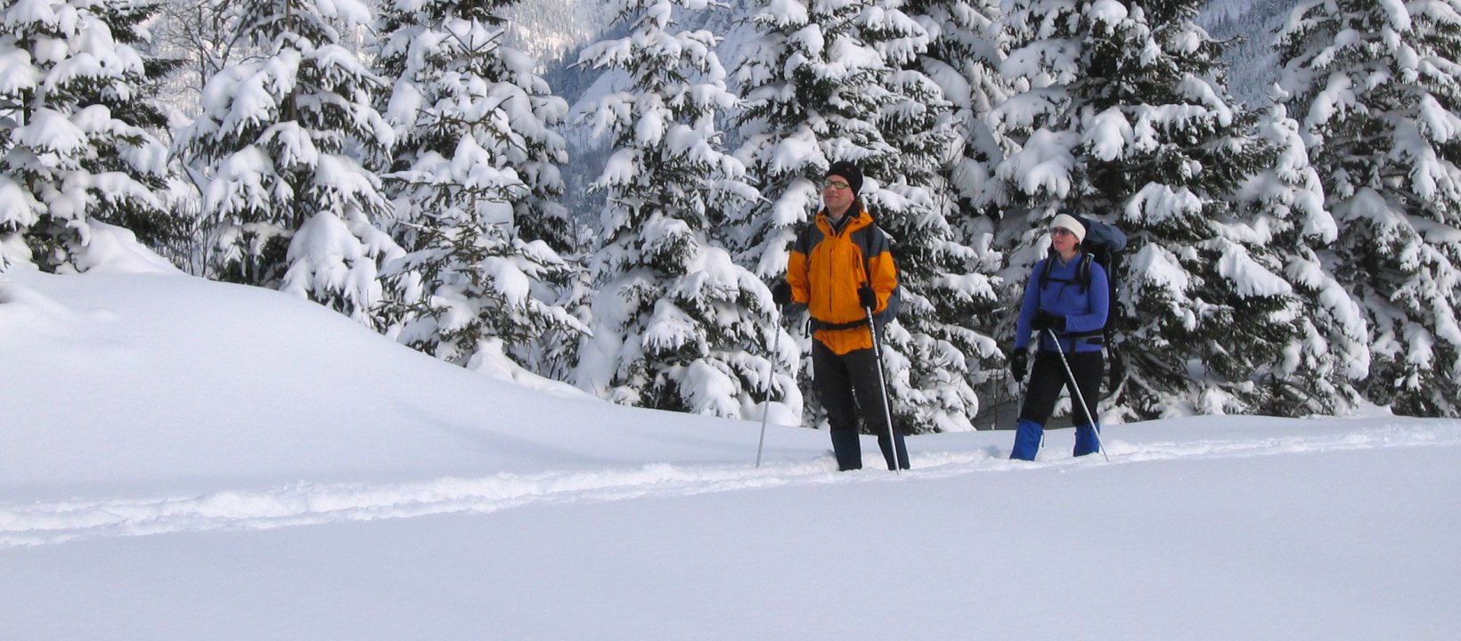 Winterwandelen
