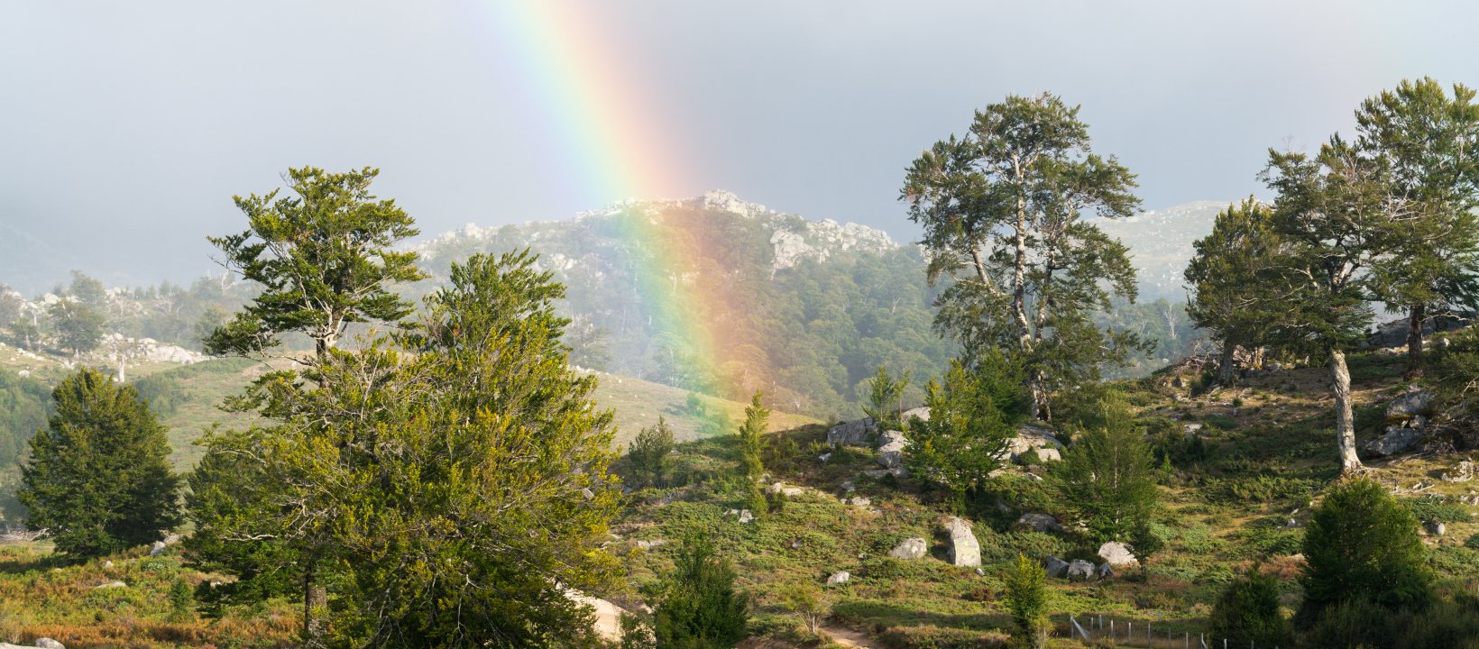 A Matalza regenboog