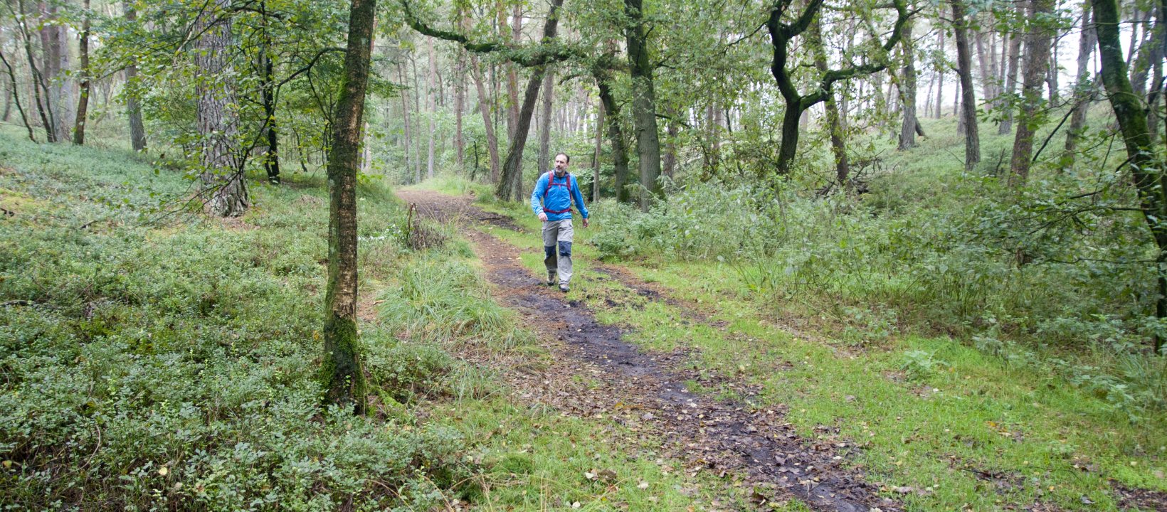 Wandelroute Sallandse Toppentocht