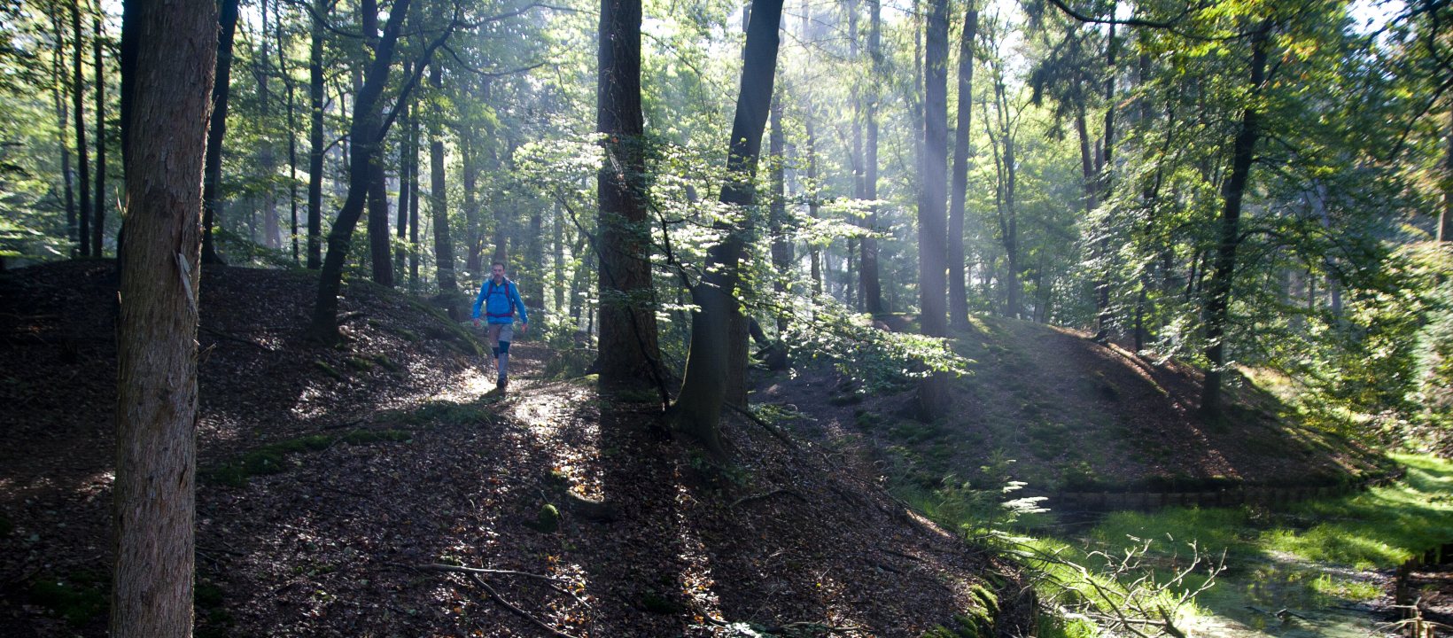 Wandelroute Sallandse Toppentocht