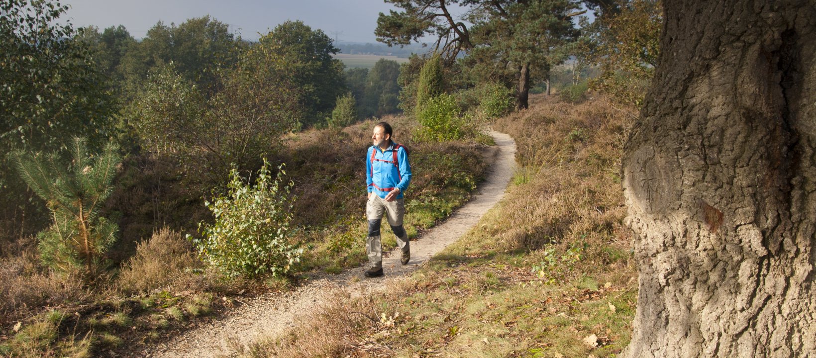 Wandelroute Sallandse Toppentocht