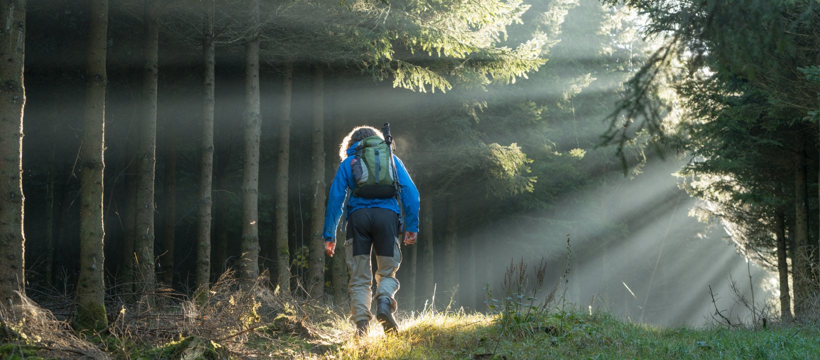 Houffalize - ochtendstemming in het bos