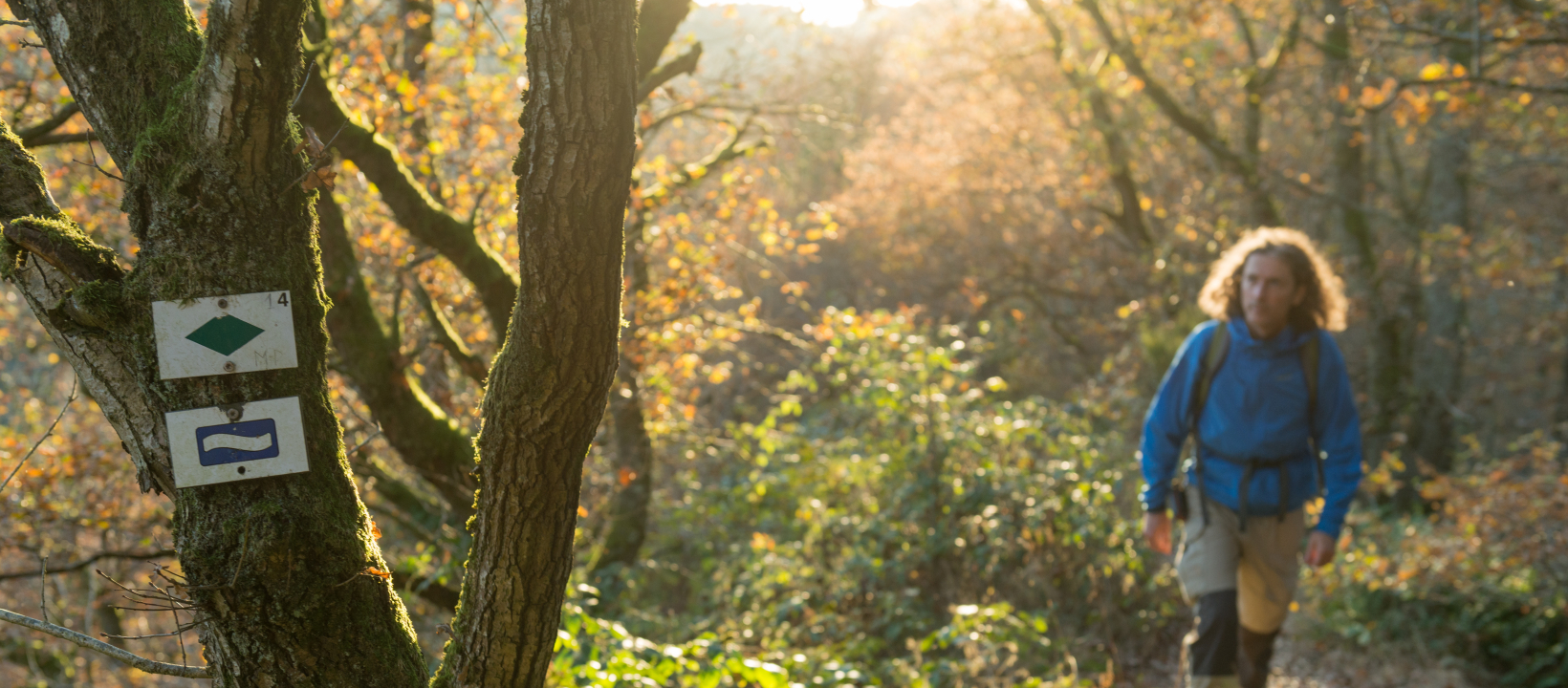 Escapardenne Eisleck Trail