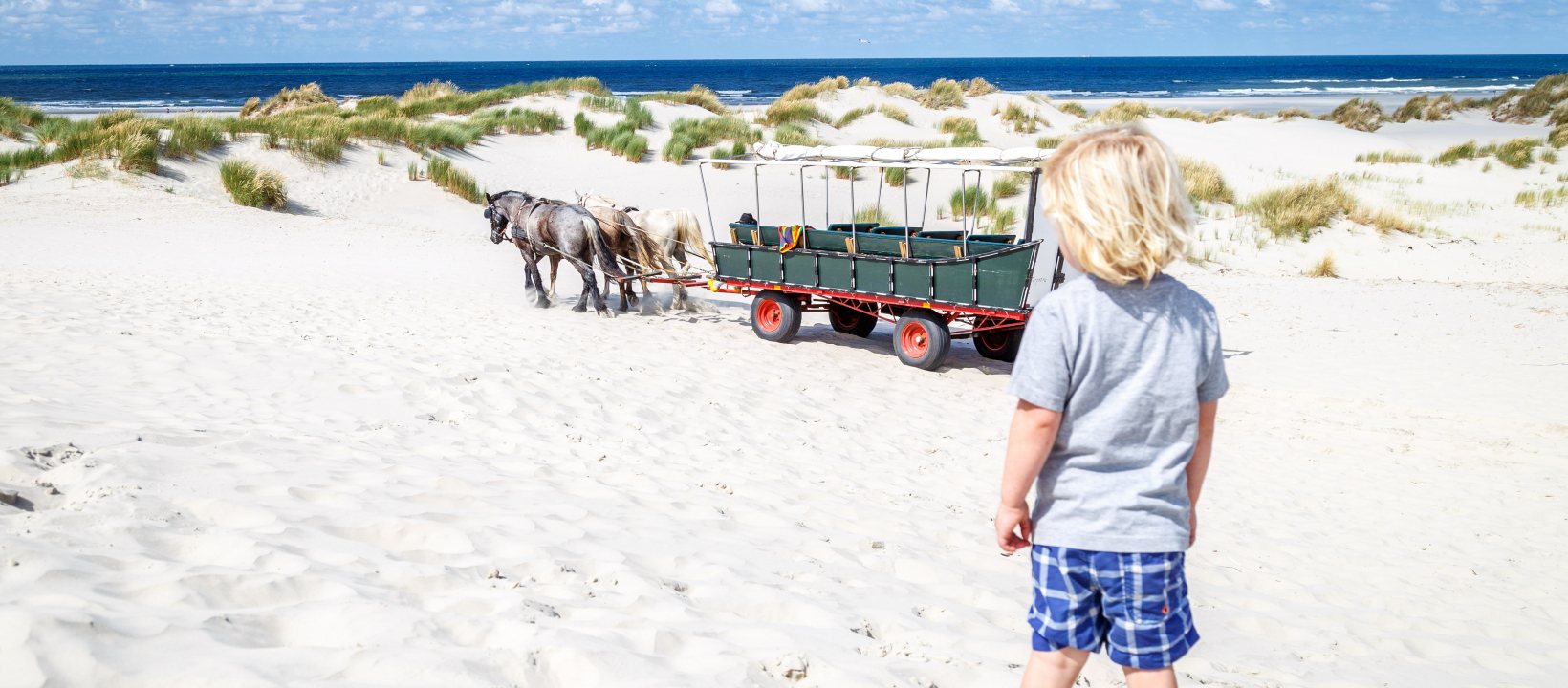 Huifkartocht Schiermonnikoog