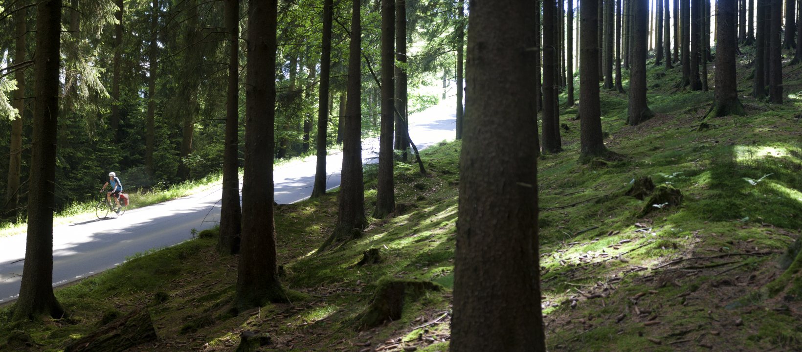 Fietsen in Sauerland
