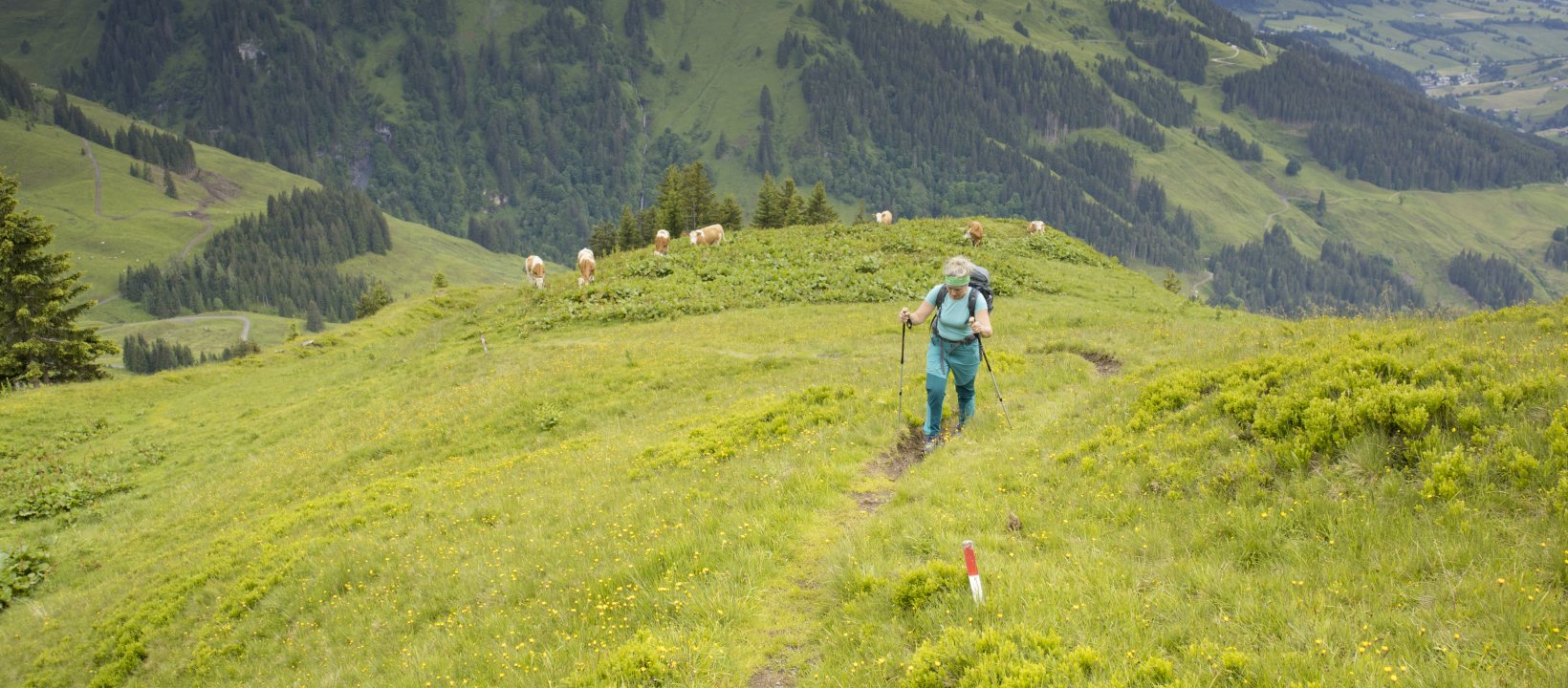Alpendoorsteek Oostenrijk