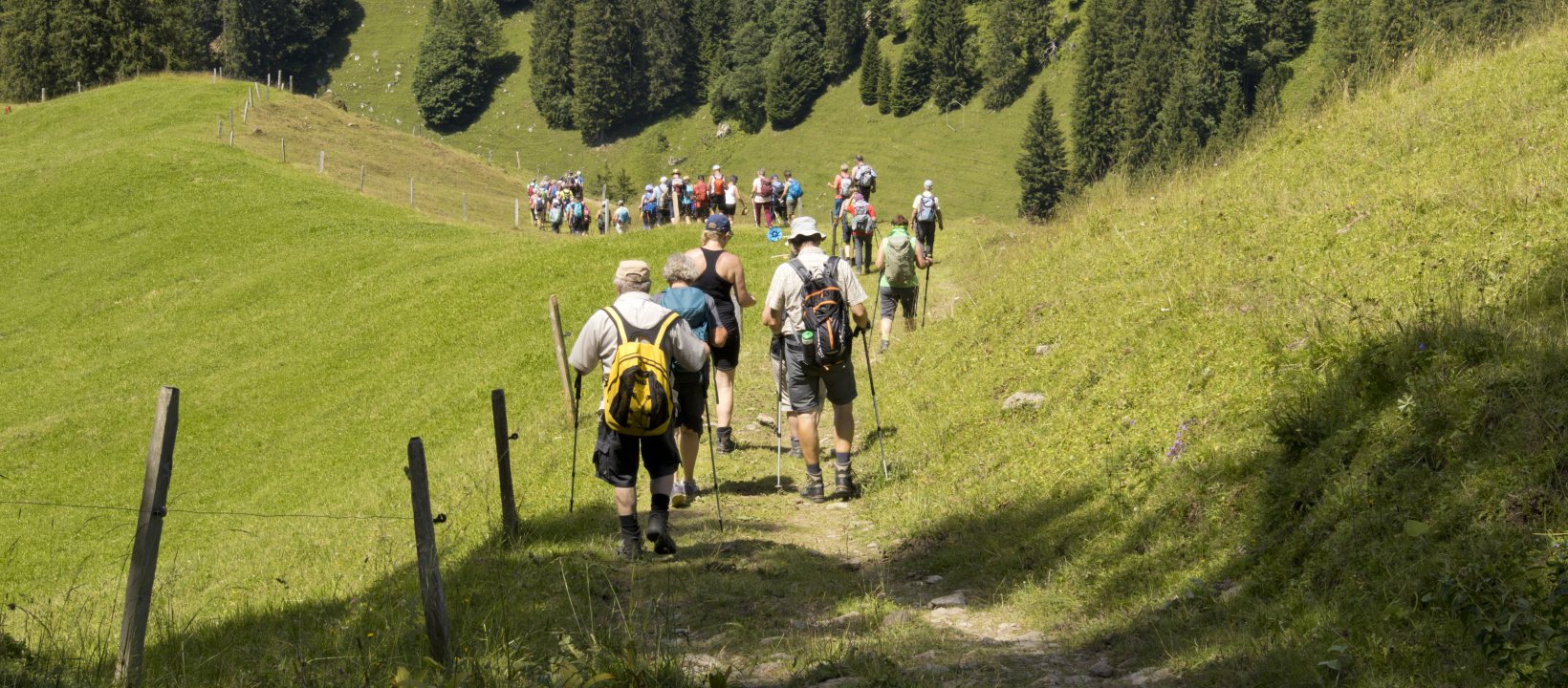 Wandelen Zwitserland Nidwaldner Höhenweg