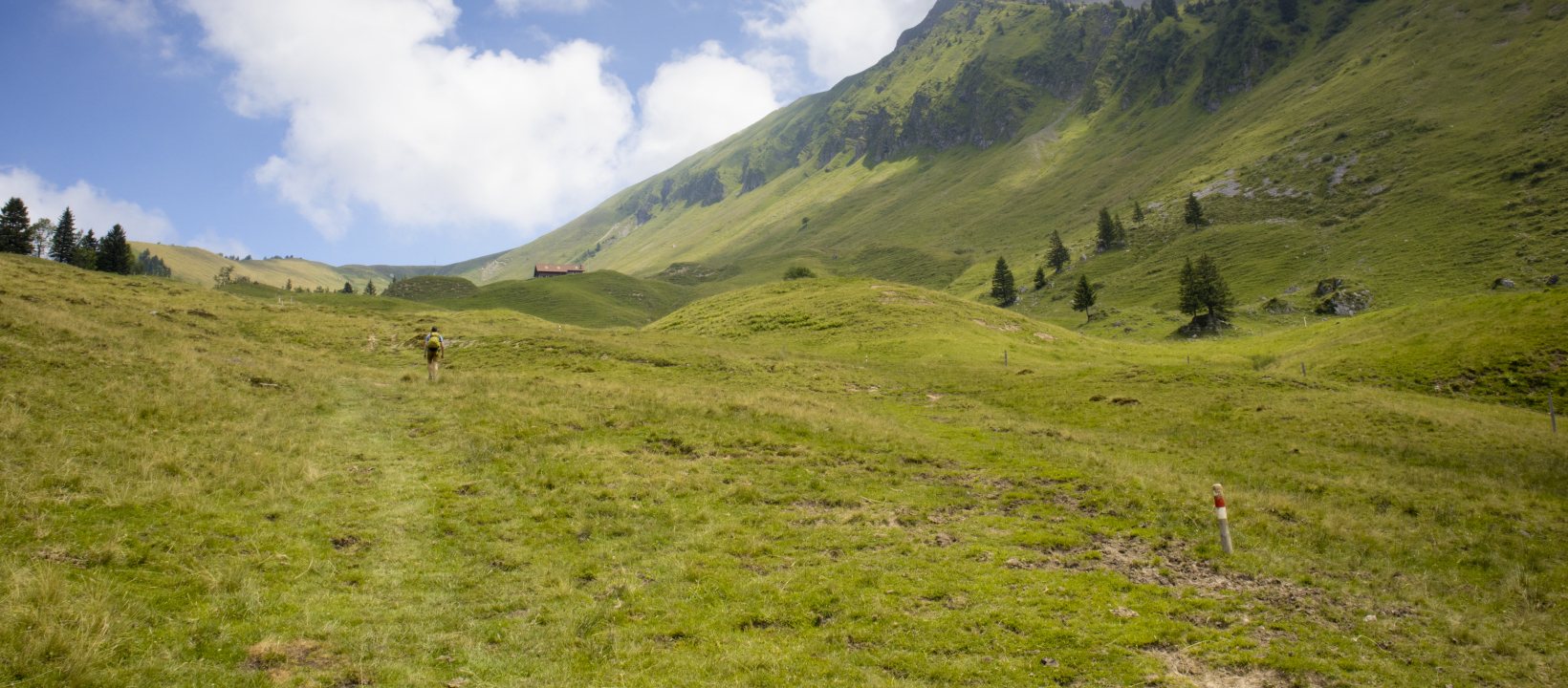 Wandelen Zwitserland Vierwoudstedenmeer Nidwaldner Höhenweg