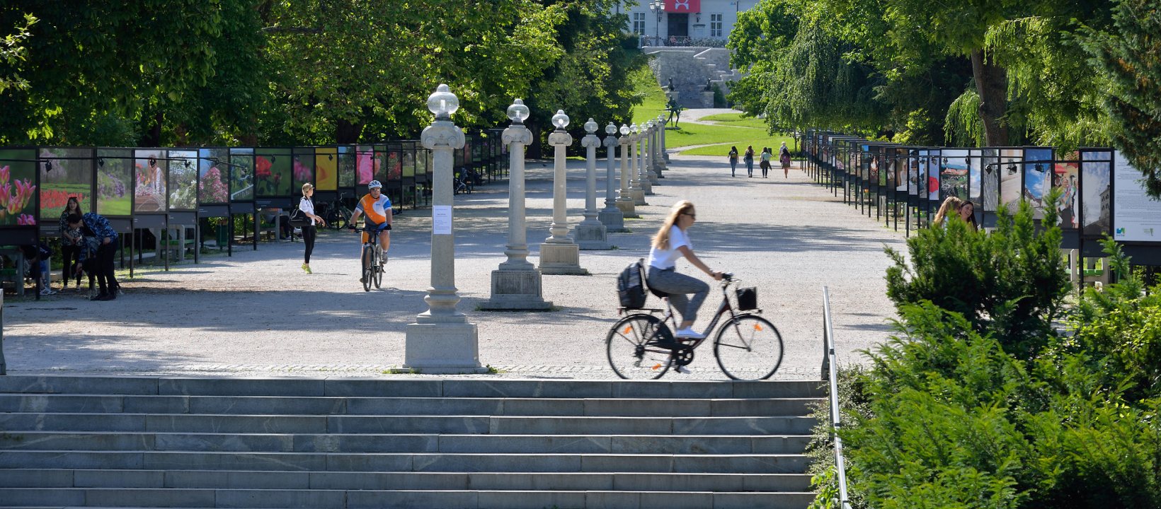 Fietsen in Slovenië