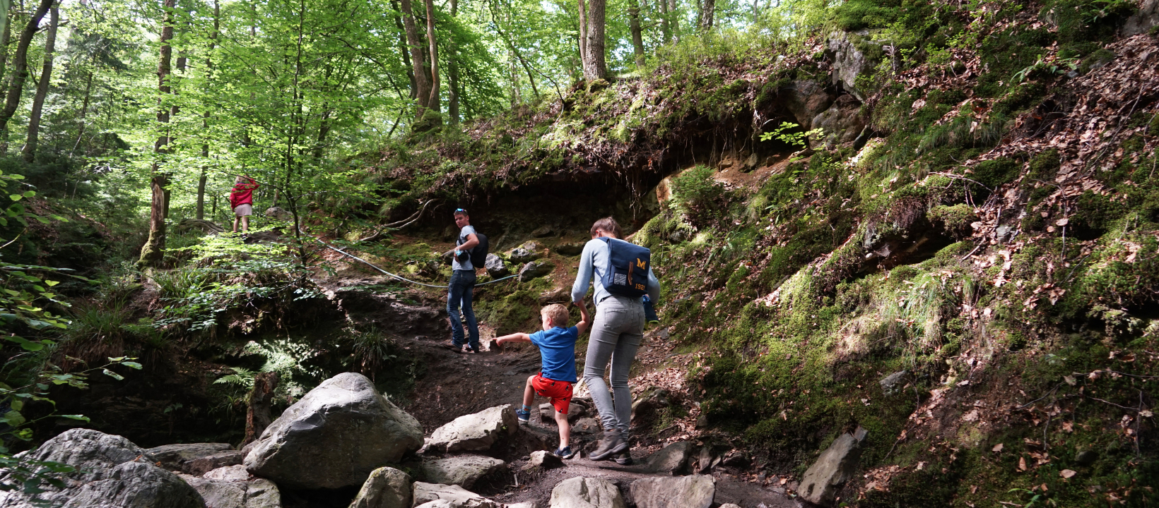 De Ninglinspo Ardennen