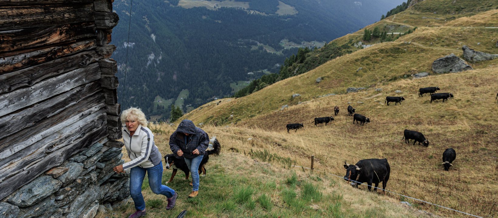 Walliser Alpen