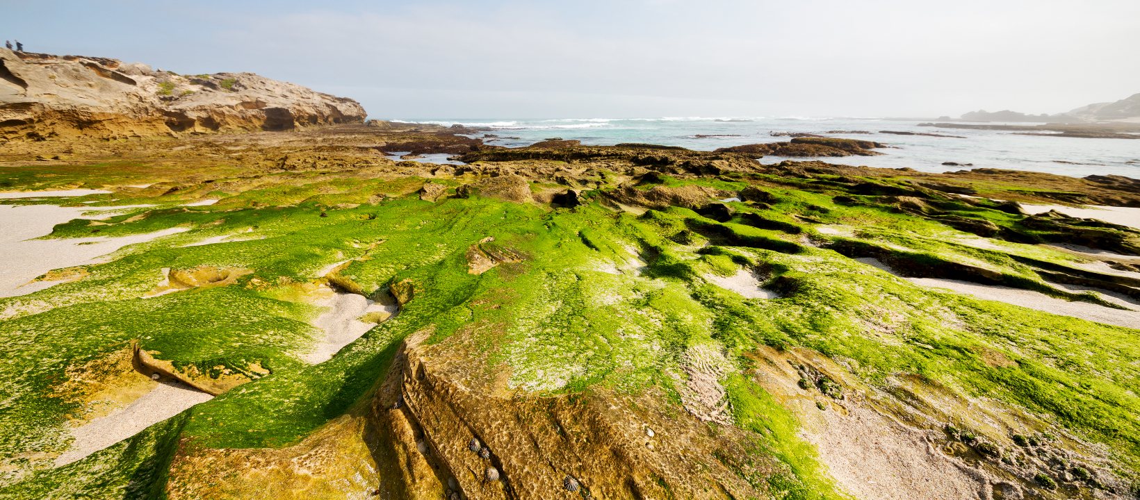 Wandelgebieden Zuid-Afrika