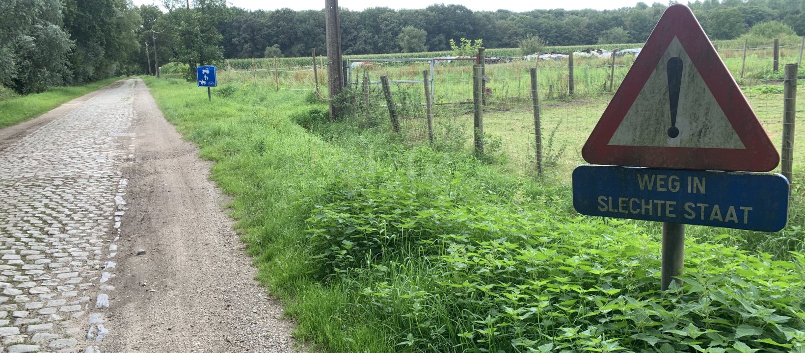 Fietsvakantie wegdek