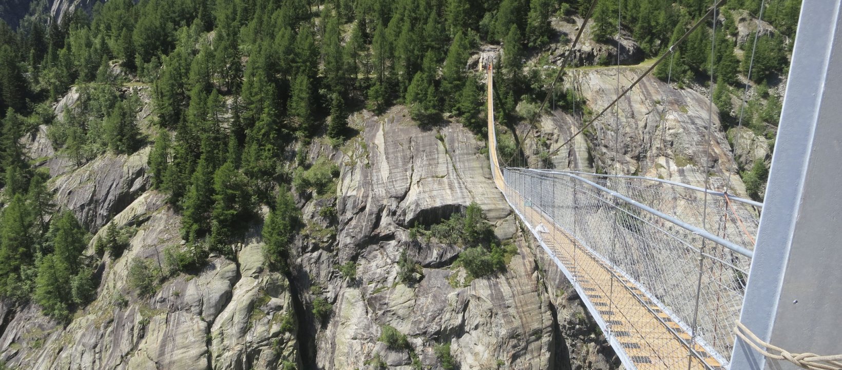 Aletschgletsjer Wallis