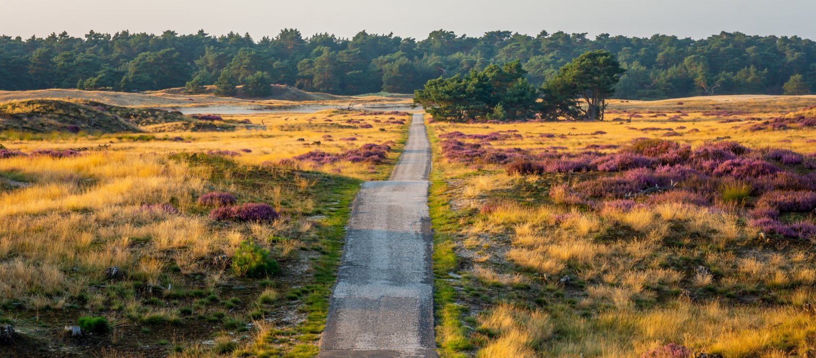 bikepacken veluwe