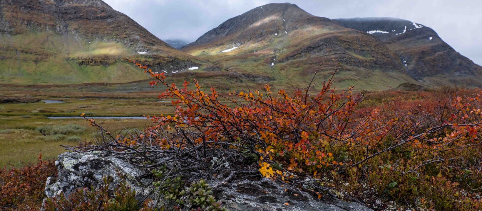 Kungsleden Zweeds Lapland