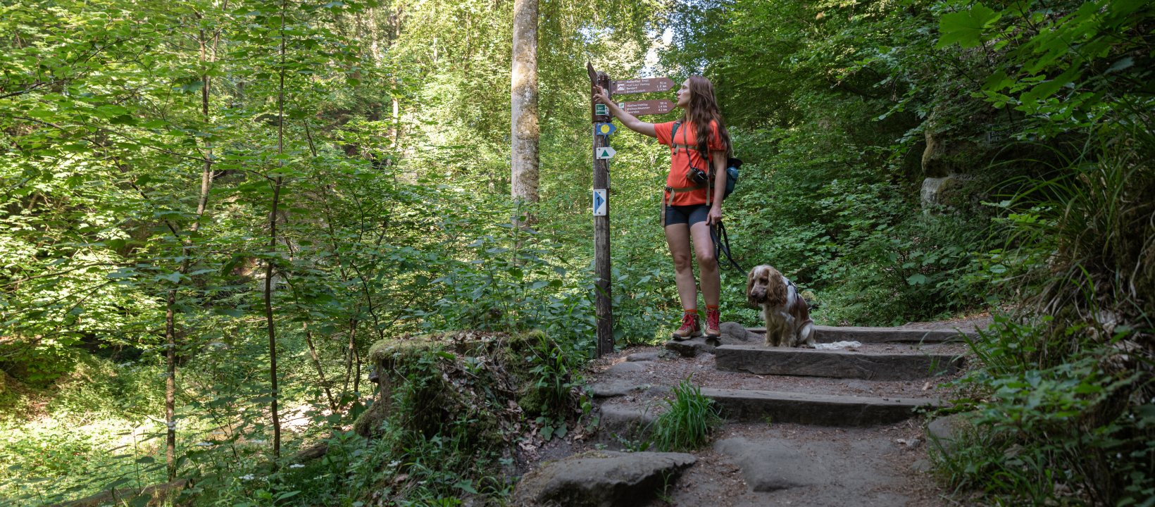 Mullerthal Trail