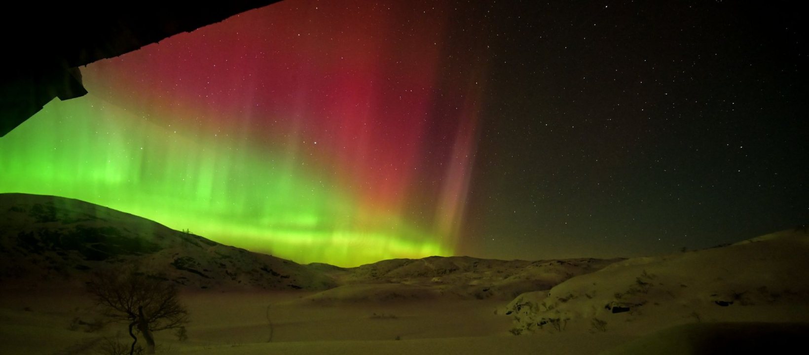 Sneeuwschoenwandelen Noorwegen