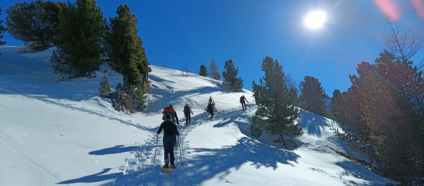 Sneeuwschoenwandelen Noorwegen