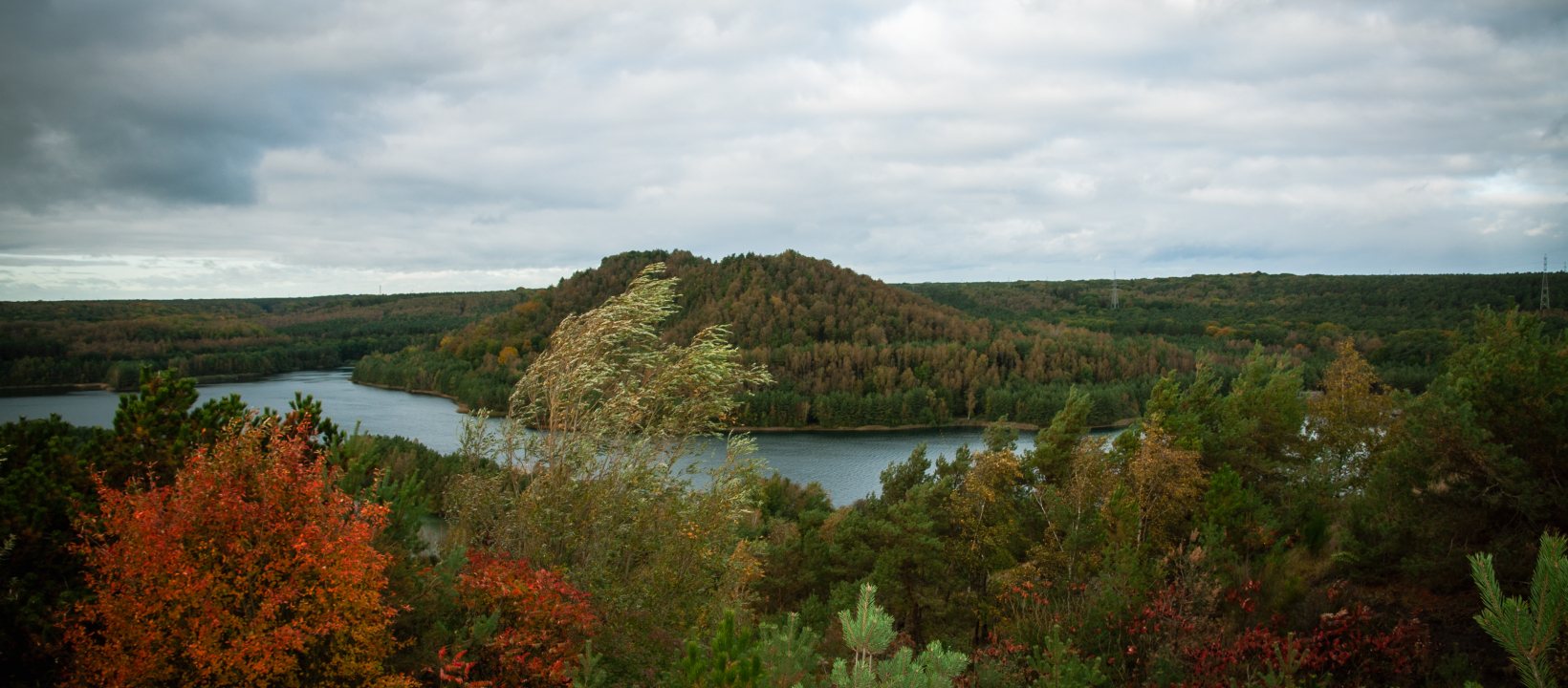 Uitzicht over de Maasvallei en het Nationale Park