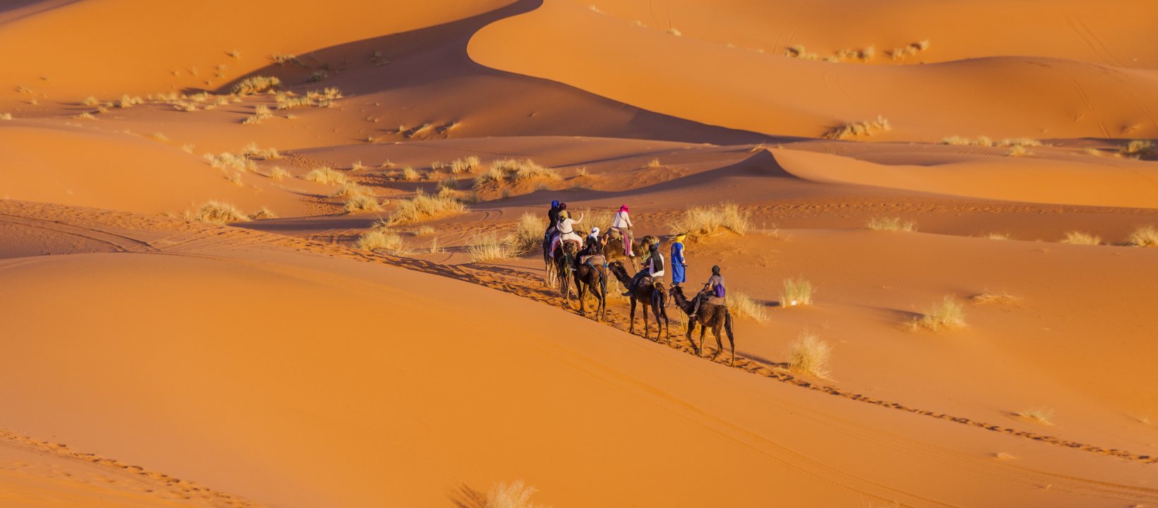 Family Special Marokko