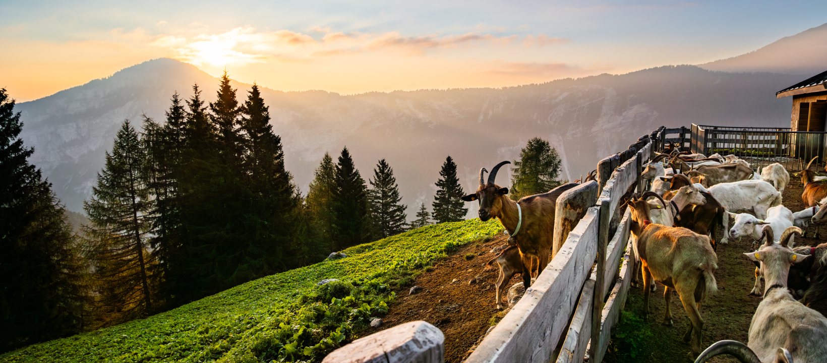 Dolomiti di Brenta Trek