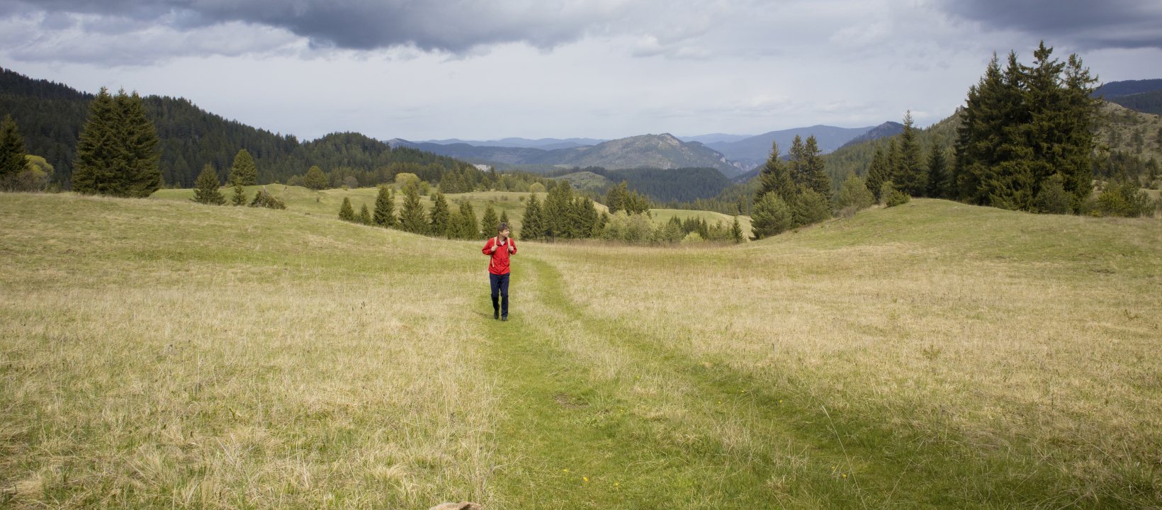 Wandelen Rodopen Bulgarije
