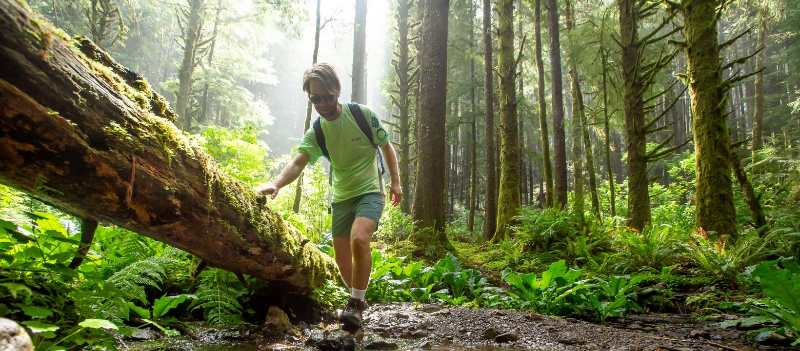 Oregon Coast Trail