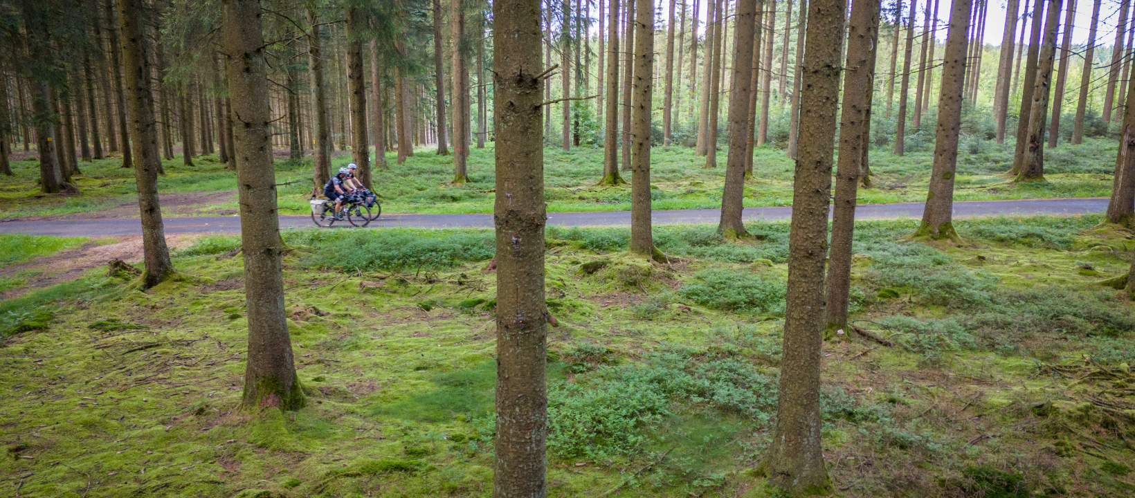 Vennbahn Radweg