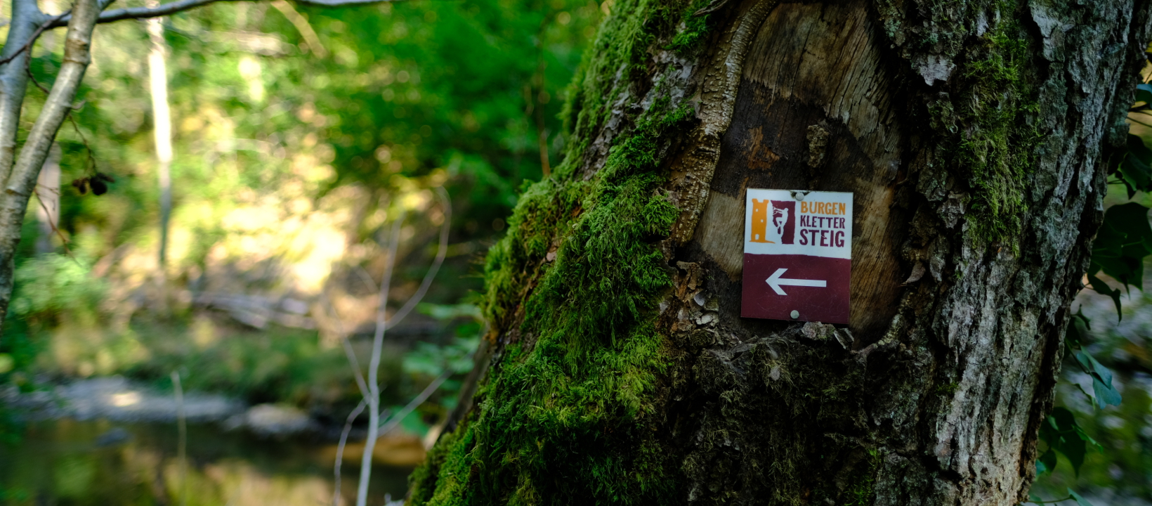 Eifelsteig Duitsland