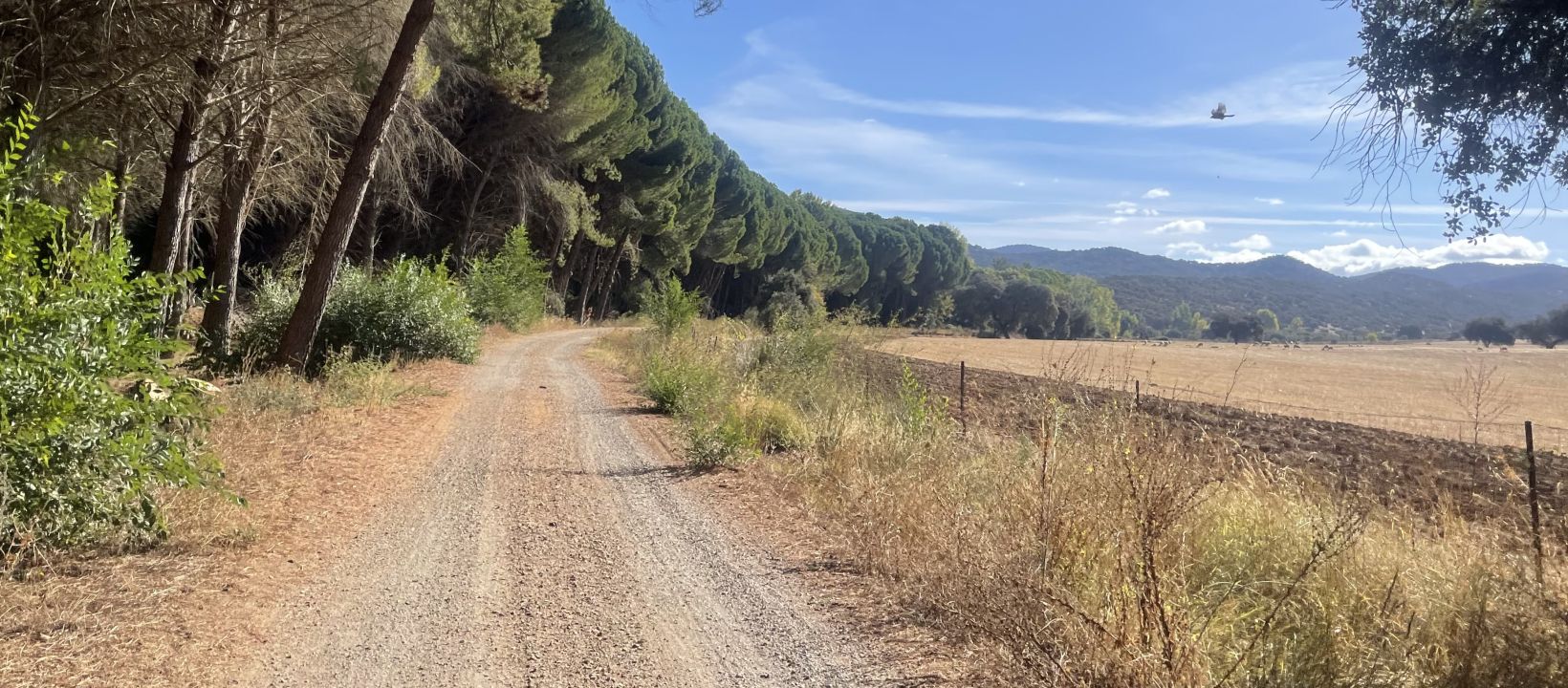 Mountainbiken Andalusie