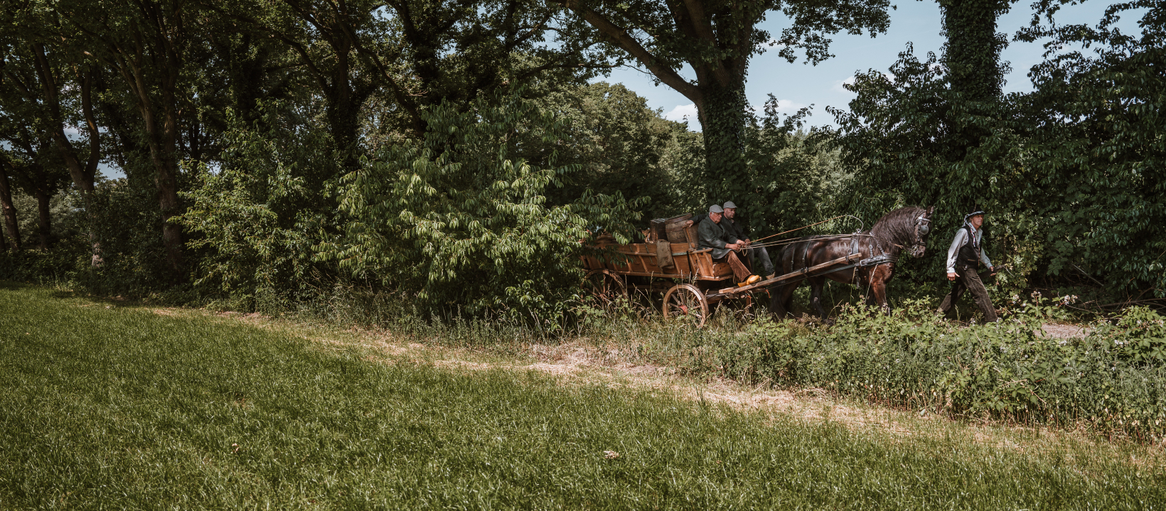 Handelsroute Chaamse Bossen