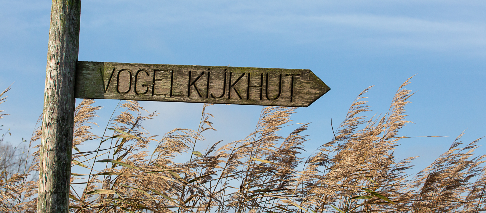 Winterwandelen Friesland