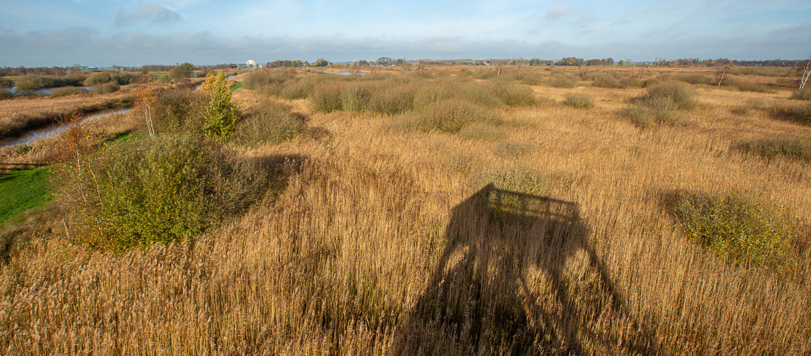 Winterwandelen Friesland