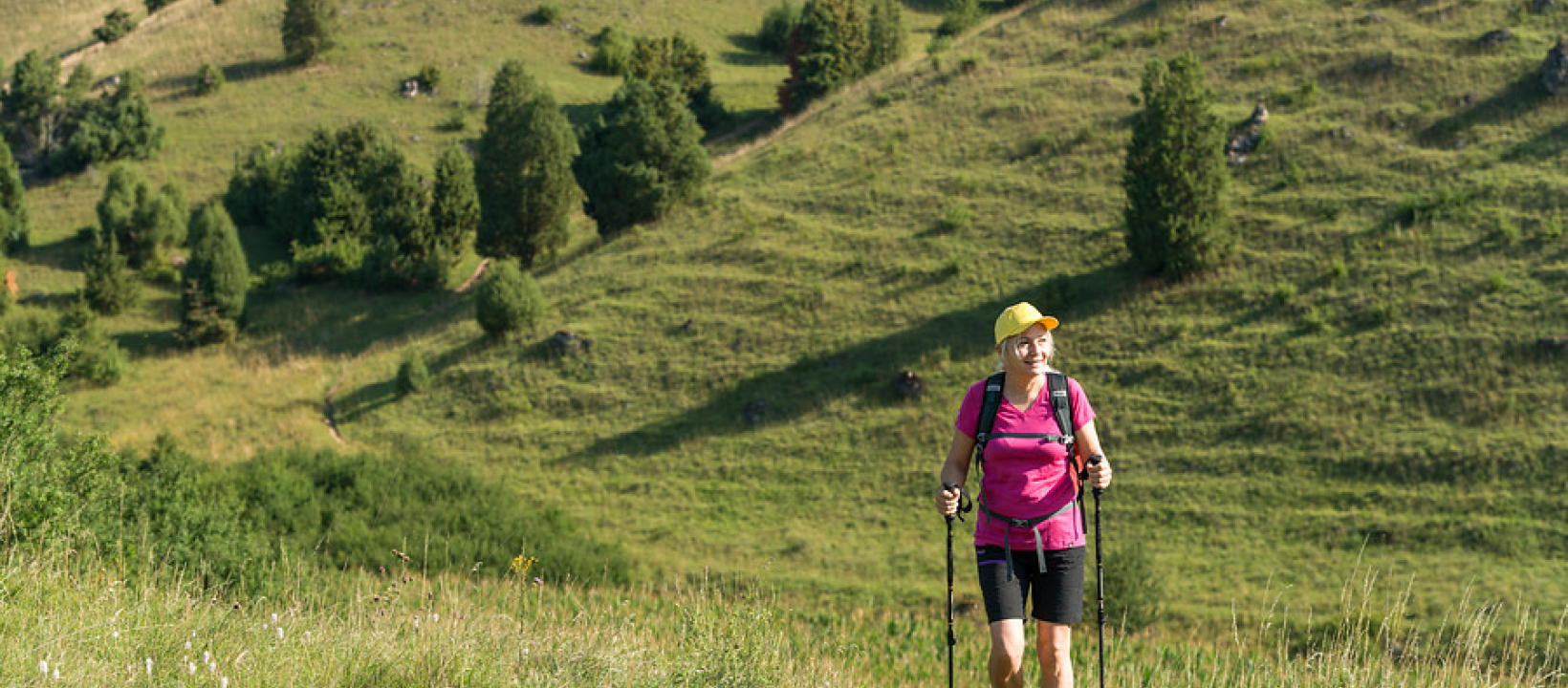 Gungoldinger Heide - kalkgrasland